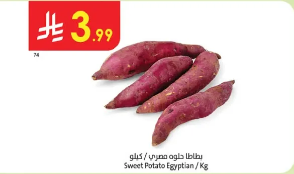 Egyptian Sweet Potato / Kg