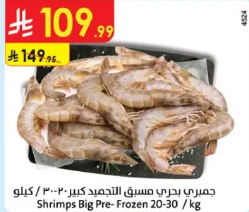 جمبري بحري مسقع كبير 20-30 / كيلو