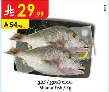 سمك شعور / كيلو