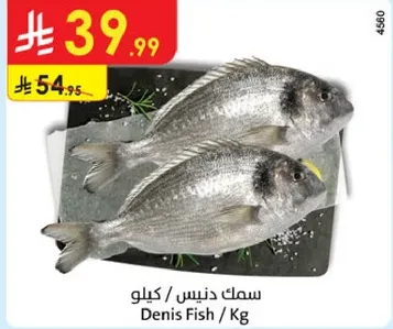 سمك دنيس / كيلو