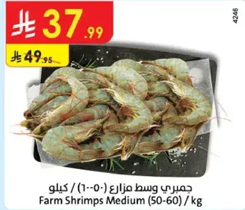 جمبري وسط مزراع (50-60) / كيلو