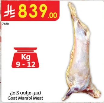 لحم ماعز مربي