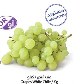 Imported White Chile Grapes