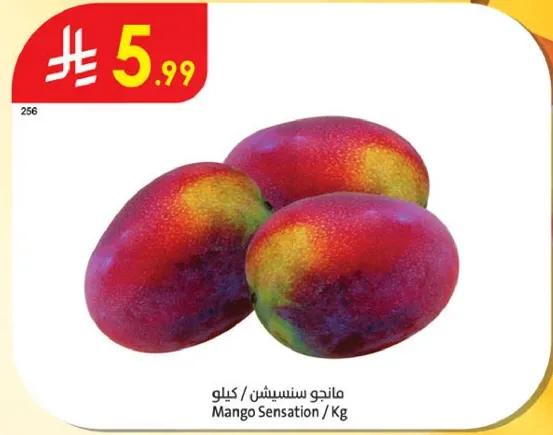 Mango Sensation