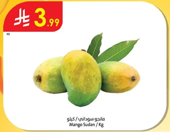 Mango Sudan / Kg