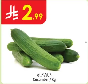 Cucumber / Kg