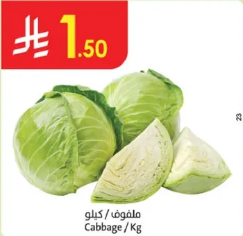 Cabbage