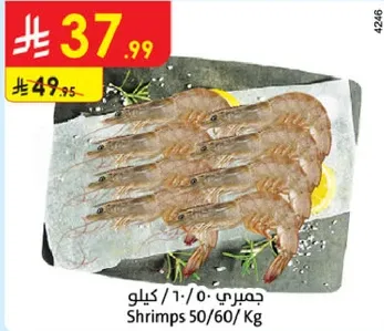 Shrimps 50/60 Kg