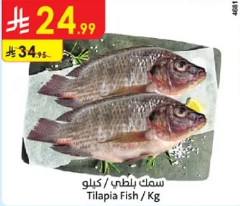Tilapia Fish / Kg