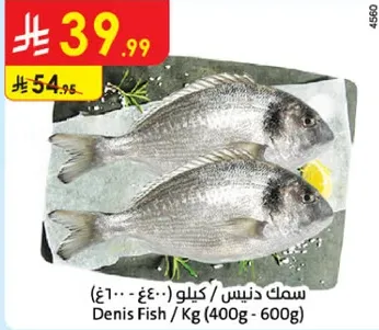 Denis Fish / Kg (400g - 600g)