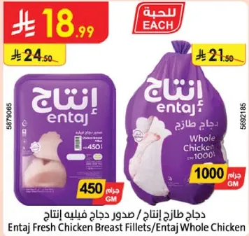 دجاج طازج انتاج / صدور دجاج فيليه انتاج