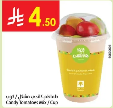 طماطم كاندي مشكل / كوب