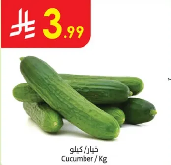Cucumber