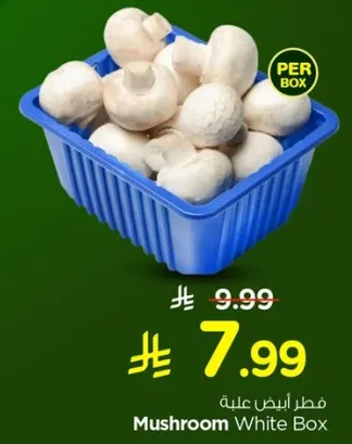 Mushroom White Box