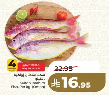 Sultan Ibrahim Fish, Per kg (Oman)