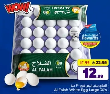 بيض ابيض كبير 30 من الفلاح