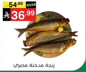 زنجه مدخنه مصري