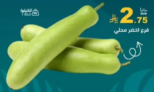 Local green squash.