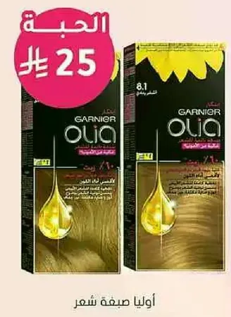 Garnier Olia Hair Color 8.1