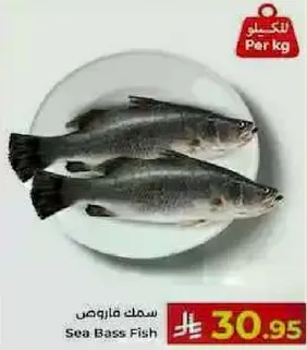 سمك فاروق