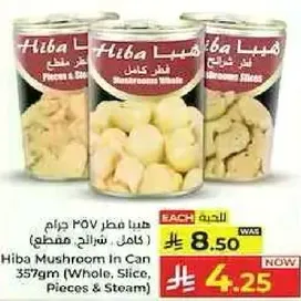 هبا فطر ٥٠٠ جرام (كامل، شرايح، مقطع)