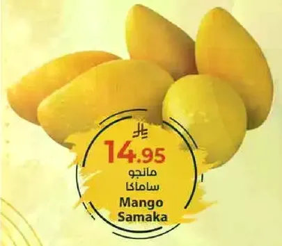 مانجو ساماكا