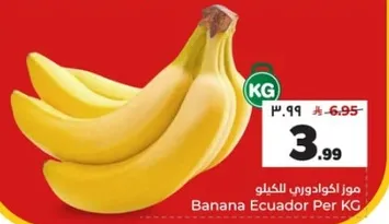 موز اكوادوري بالكيلو