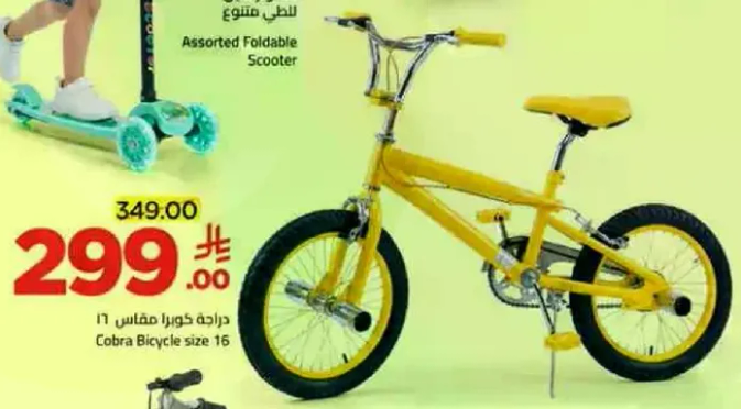 Assorted Foldable Scooter