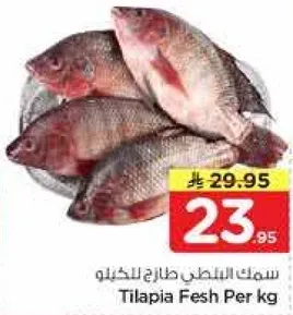 سمك البلطي طازج للكilo
