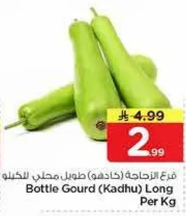 قرع زجاجي (كادهو) طويل للكيلو