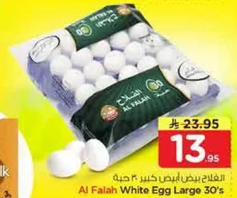 الفلاح بيض ابيض كبير ٣٠ حبه