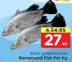 سمك باراموندي للكيلو