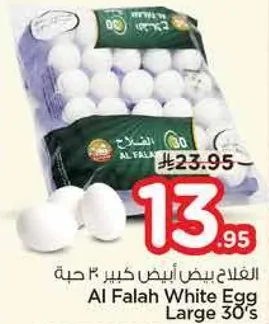 Al Falah White Egg Large 30'S