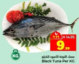 سمك التونه الاسود للكليو