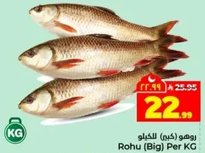 روهام (كبير) للكليو