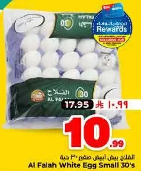 الفلح بيض ابيض صغير 30 حبه