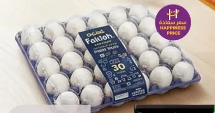 فلتوه بيض طازج 30