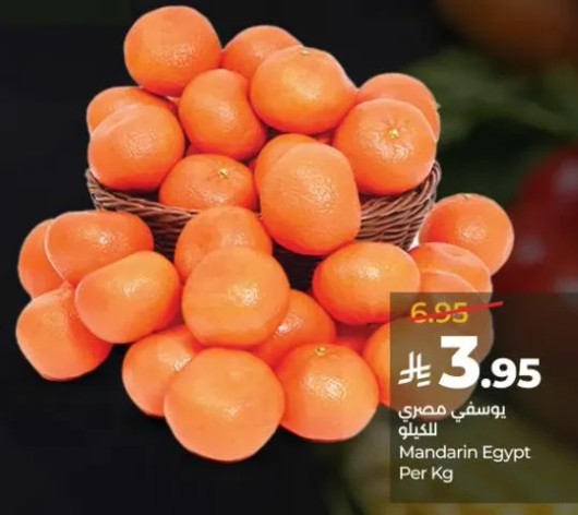 يوسفي مصري للكيلو
