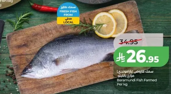 سمك تامبوزي (الموندي) مزارع بالكيلو