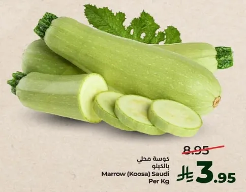 كوسه محلي بالكيلو.