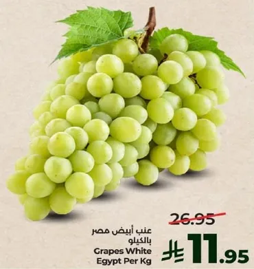 عنب ابيض مصر بالكيلو