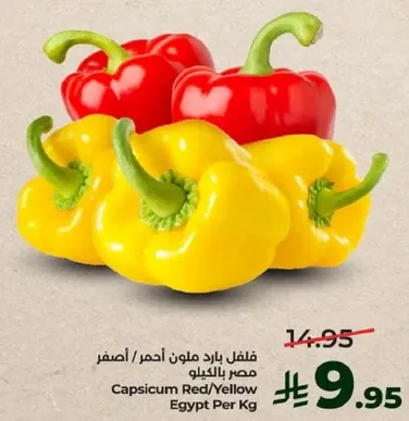 فلفل يارد ملون احمر / اصفر مصر بالكيلو