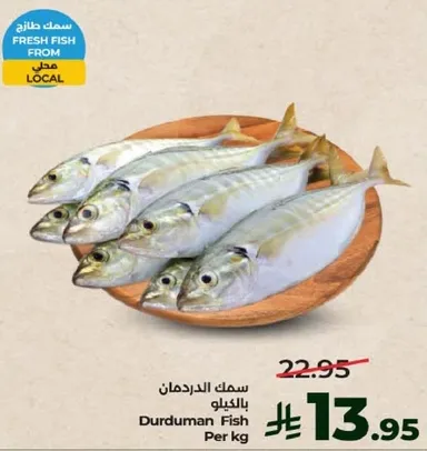 سمك الدردمان بالكيلو