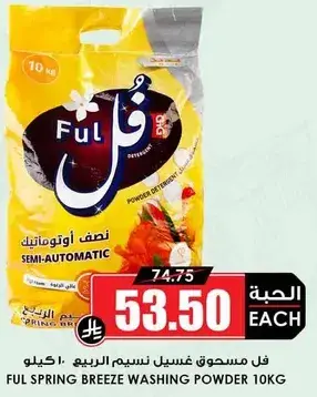فل مسحوق غسيل نسيم الربيع ١٠ كجم