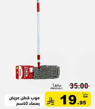 Mop with handle