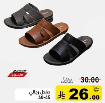 Men's sandals, assorted colors.