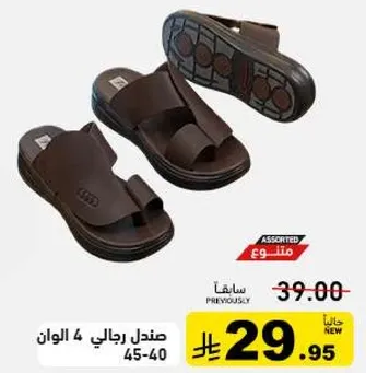 Men's sandals, assorted colors.