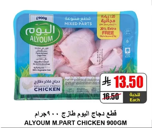 قطع دجاج اليوم