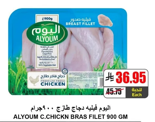 اليوم فيليه دجاج