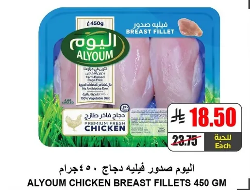 اليوم صدور دجاج